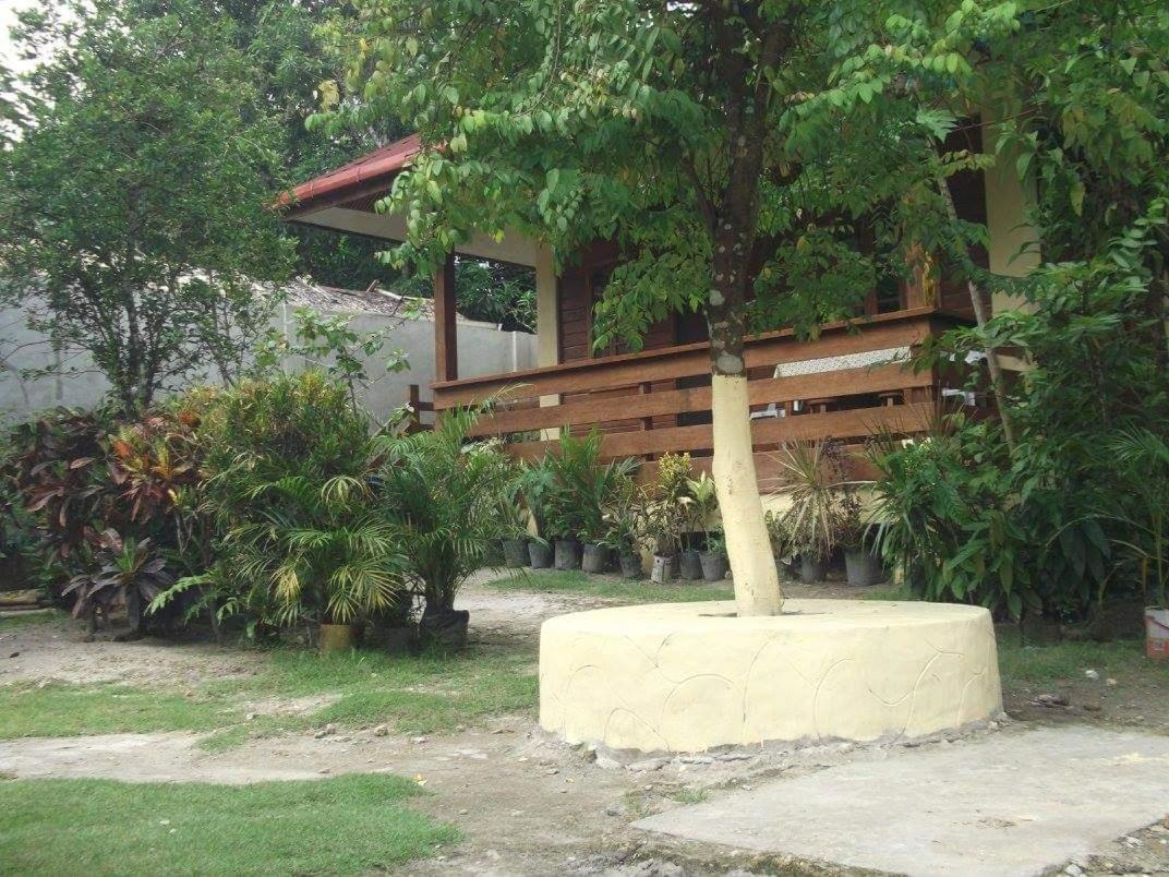Nellie'S Tourist Inn- Port Barton San Vicente  Kültér fotó